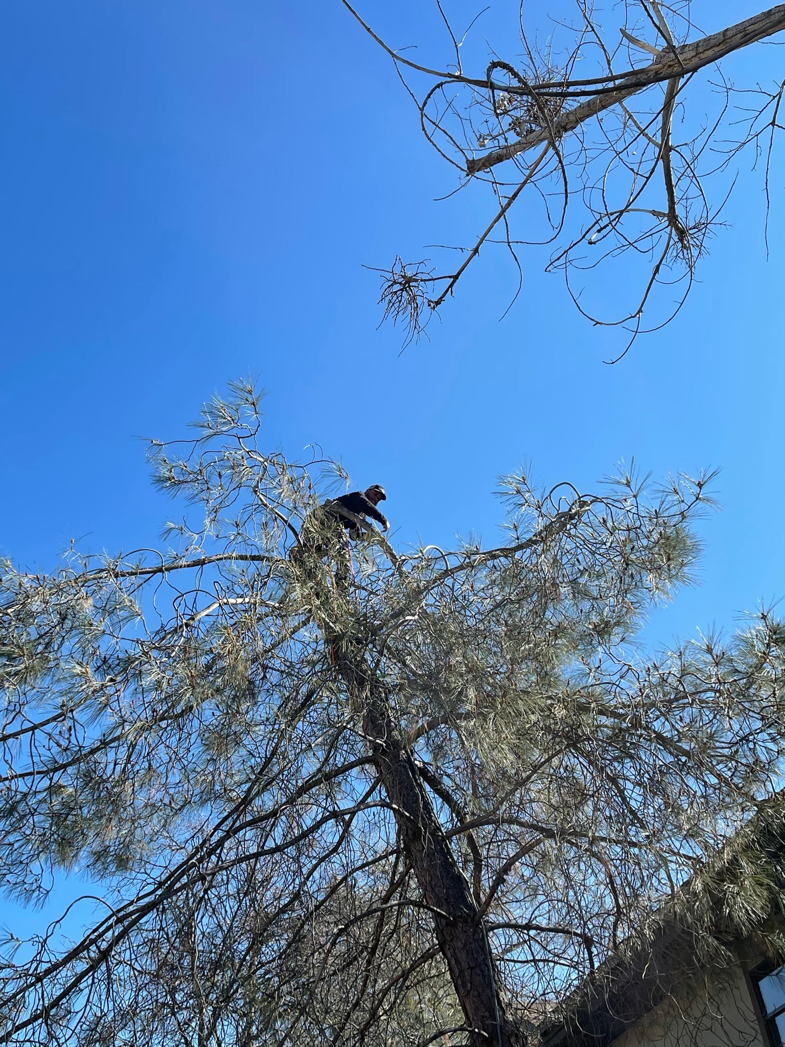 Debris cleanup after removal