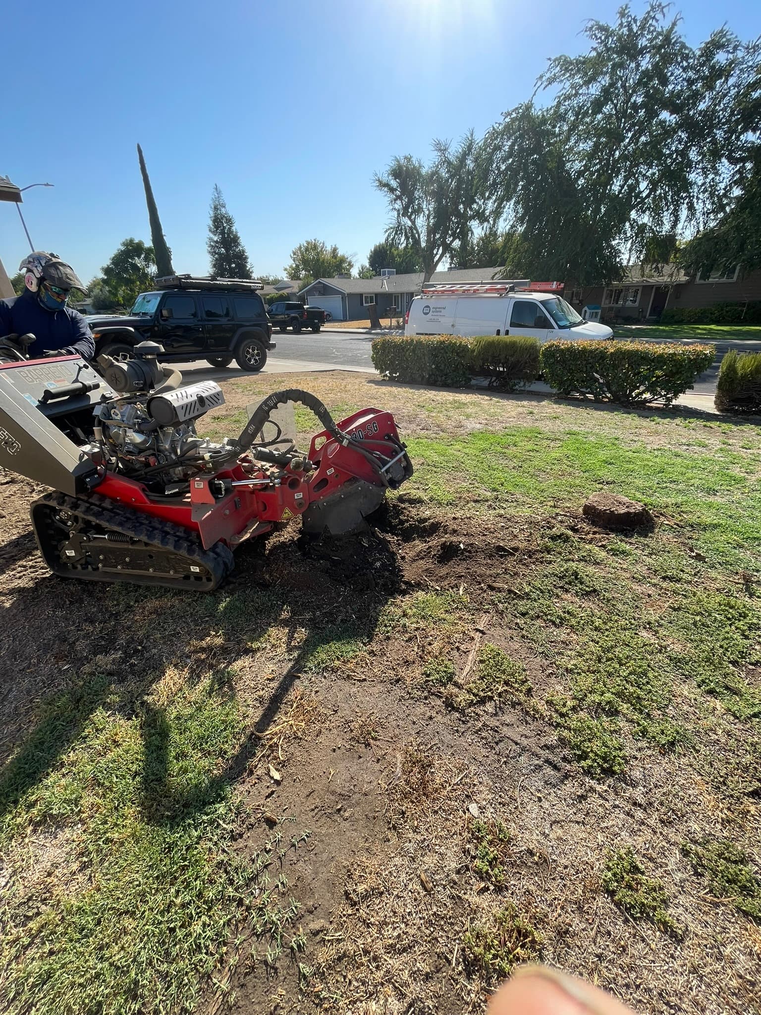 Stump Grinding